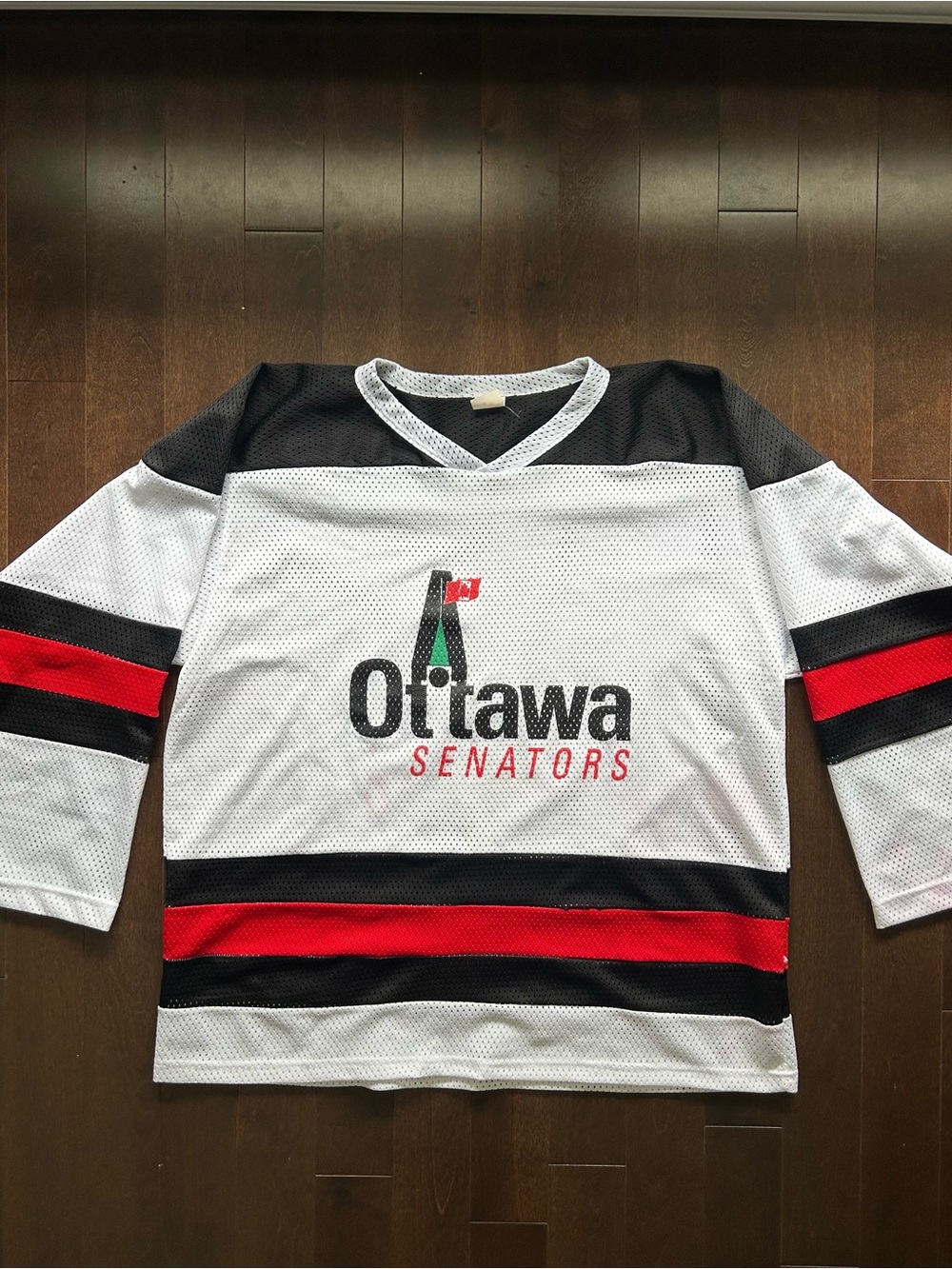 Vintage 90s Ottawa Senators Peace Tower Pre Expansion NHL Hockey Jersey RARE